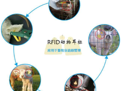 RFID技術(shù)對畜牧管理提供了科學(xué)模式