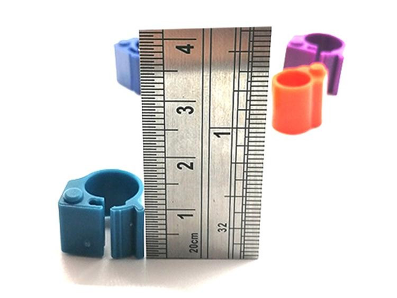 rfid腳環(huán)標(biāo)簽