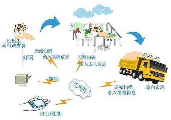 動(dòng)物耳標(biāo)流程圖